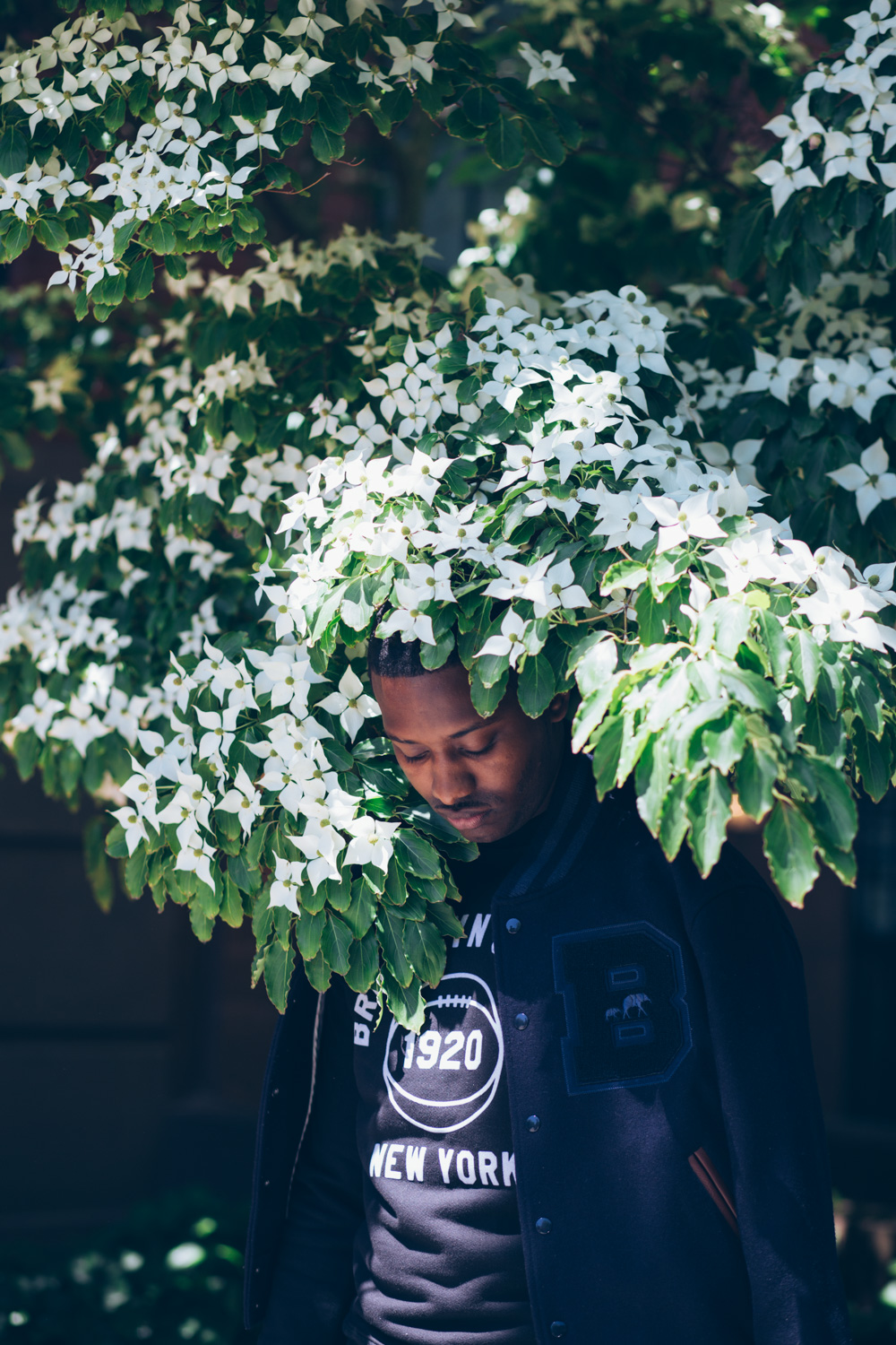 Delon in flowers