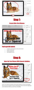 memes plugin