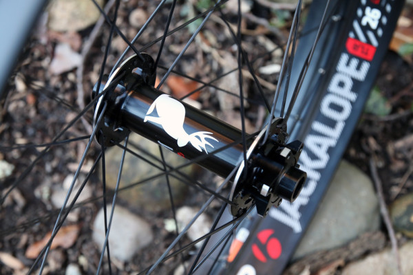 Just In: Bontrager Jackalope Wheels and 