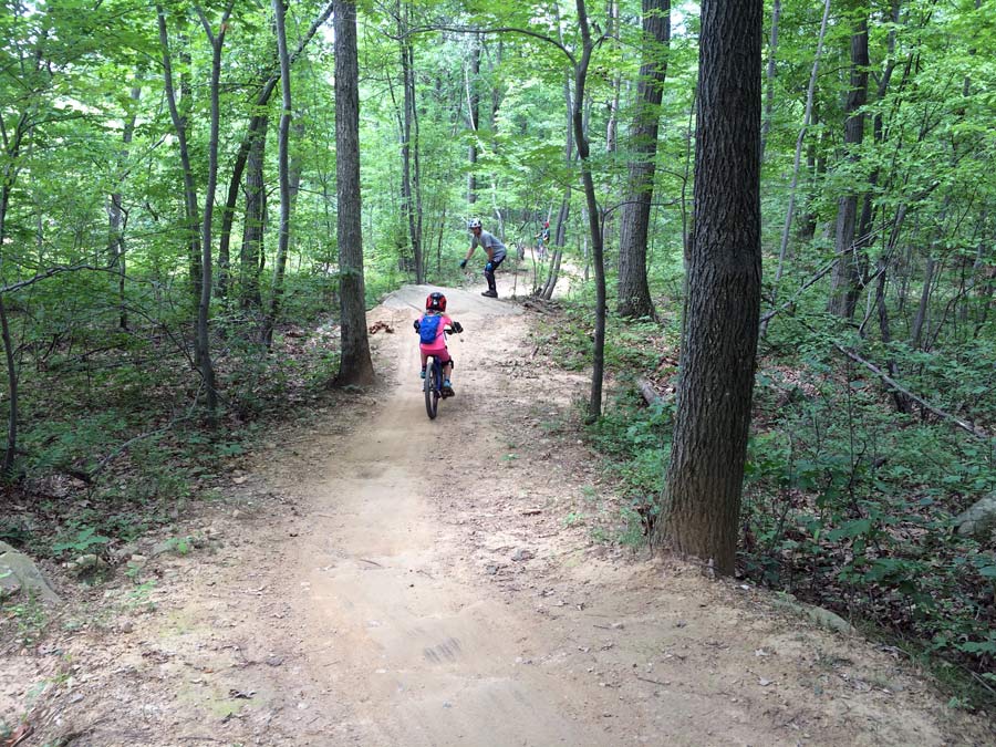 trailcraft kids bike