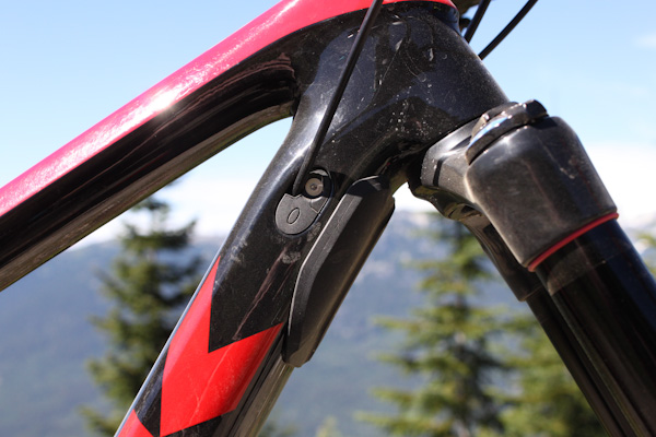 Trek Remedy 9.9 