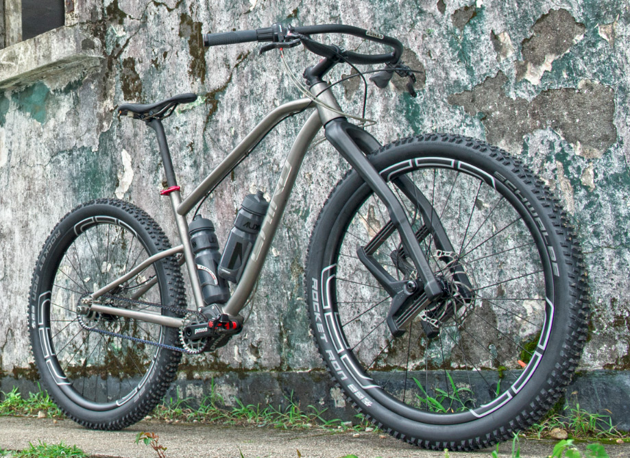 titanium Pinion adventure touring bike 