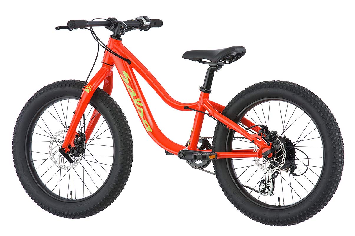 Salsa Timberjack kids mountain bikes 