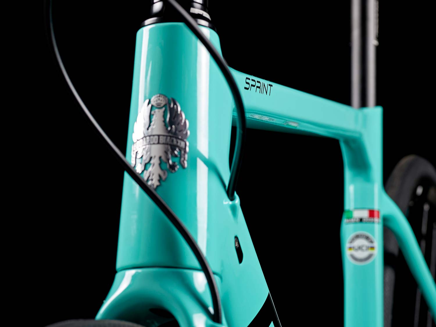 workhorse carbon road bike 