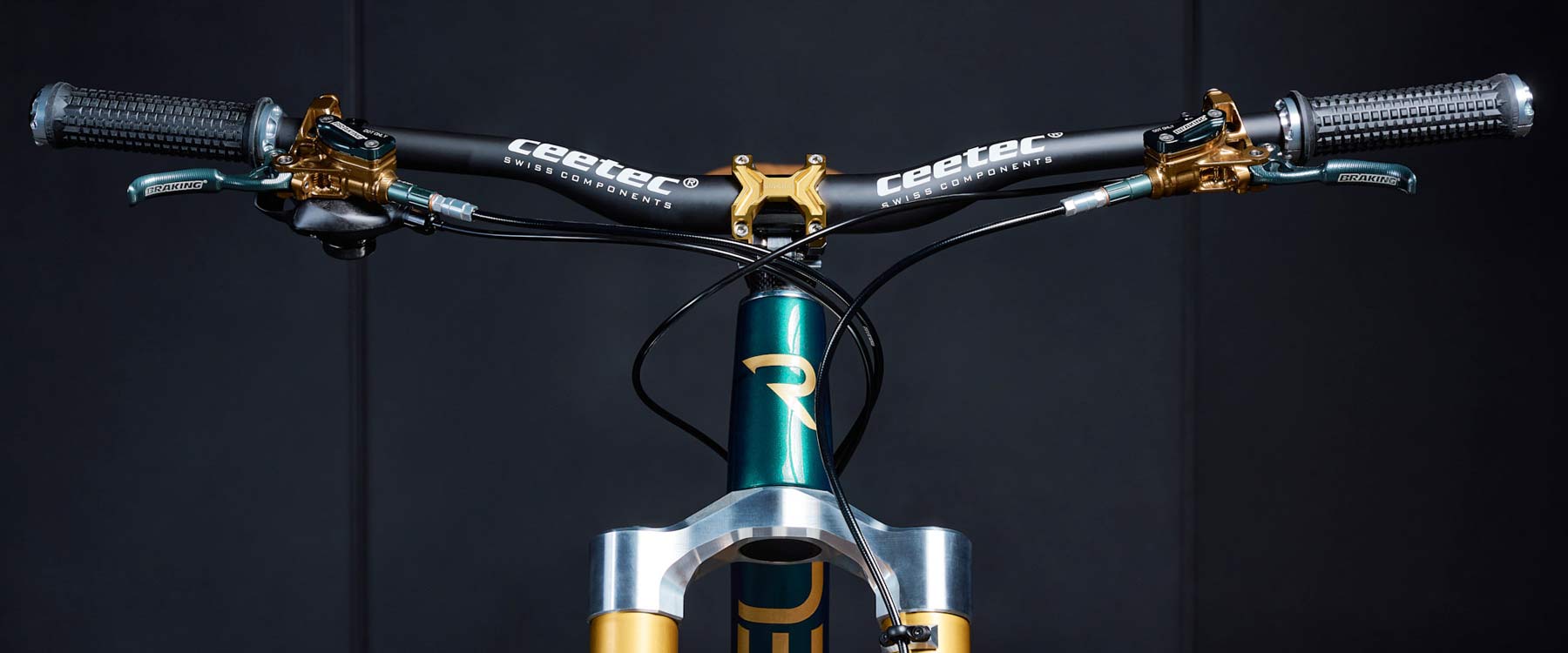 Prototype Ceetec C1 DH carbon mountain 