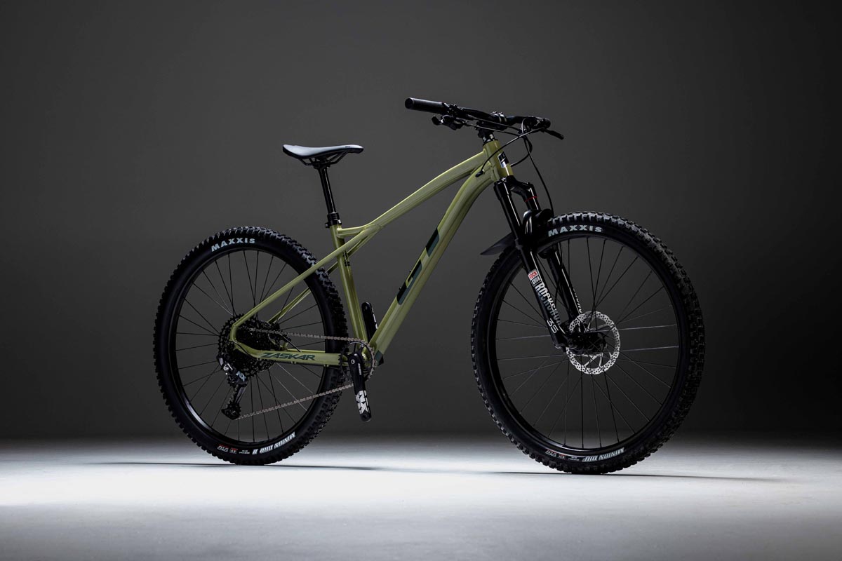 Triple Triangle hardtail mountain bike 