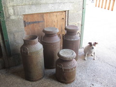 Milk Churns