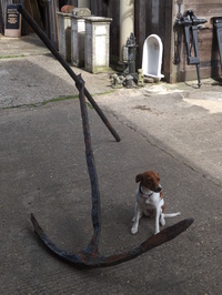 Ships Anchor c1860