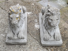 Lions To a Grand Entrance 