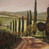 Cypress