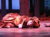 The Cunning Little Vixen, 2008