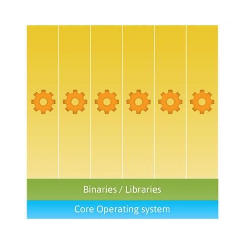 Figure 2. Containers can share a single operating system and, optionally, other binary and library resources.