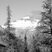 Guess!