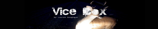 Vice Box