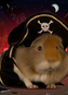 Guineapirate