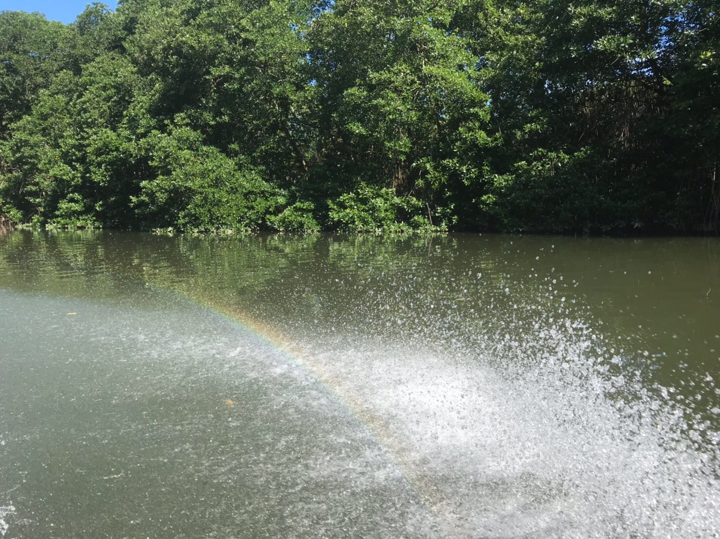 ブルネイについてもっと知れるツアー