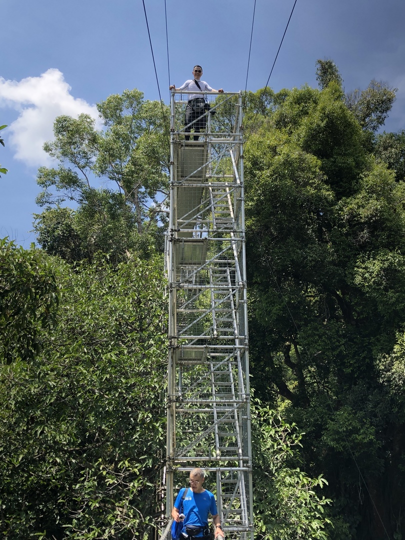 キャノピーウォーク 楽しみました