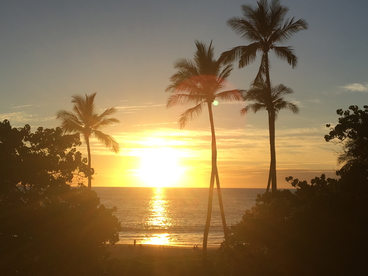 参加して良かったです。