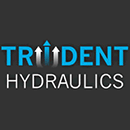 Hidráulica Ltd de Trident