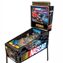 Nascar Pinball