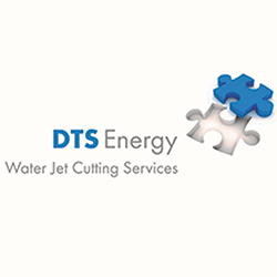 DTS Energy Ltd