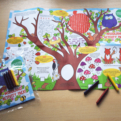 Woodland Activity Packs
