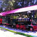 Electric Train Ride