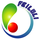 Feiloli Electronic Co. Ltd.