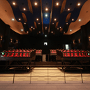 Motion Ride Theatre