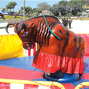 BullFight - Rodeo Ride