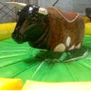 Rodeo Bull with Surfing board