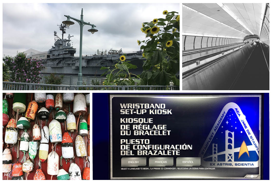 The Intrepid
