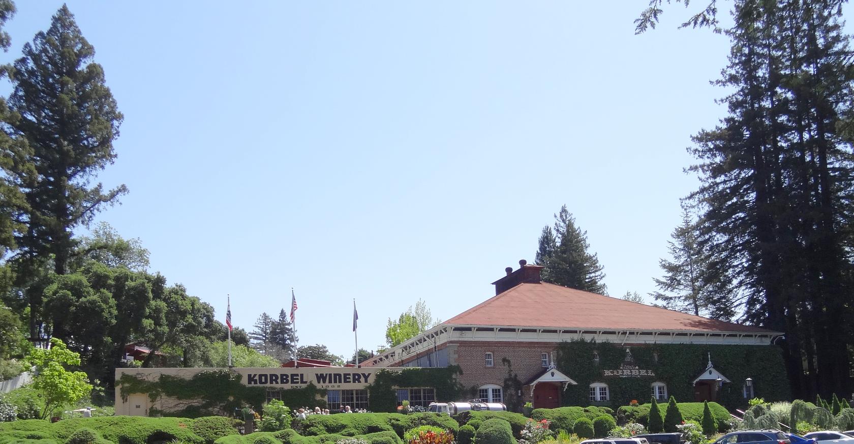 I always like to stop at the Korbel Winery. That is the storage and aging house, but among the trees is the old wood panelled tasing room where you can find which grapes did especially well the past year.