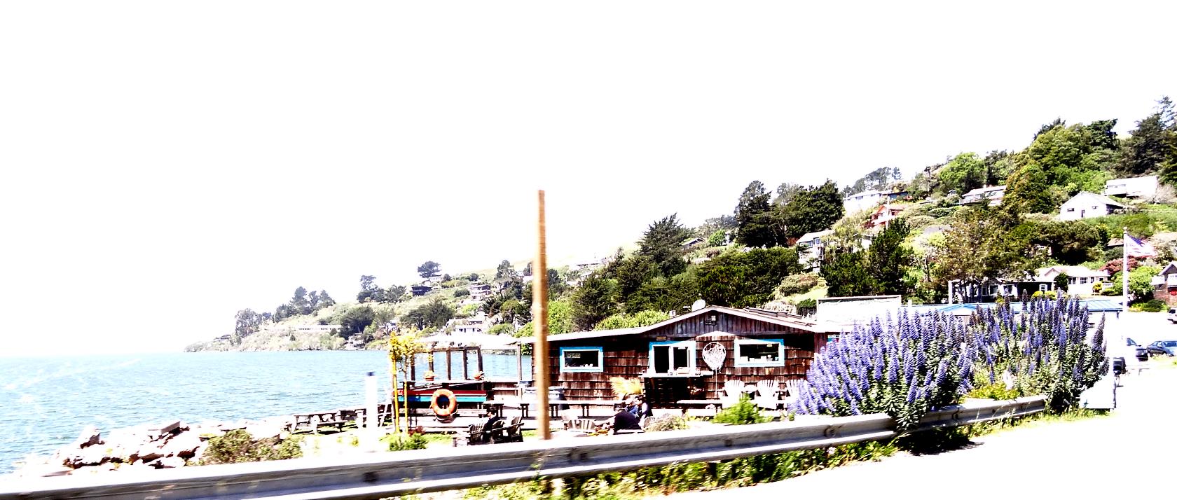 At the mouth of the Russian River is the small town of Jenner. Not much to see - mostly a coffee shop, tourist shop and State Parks Visitor Center, but it is the gateway to the beauty of the North Coast.