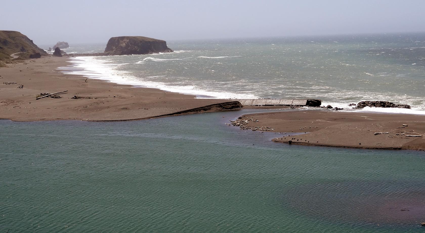 A wind blown sea above a wind swept shore leads south down the Sonoma Caast.