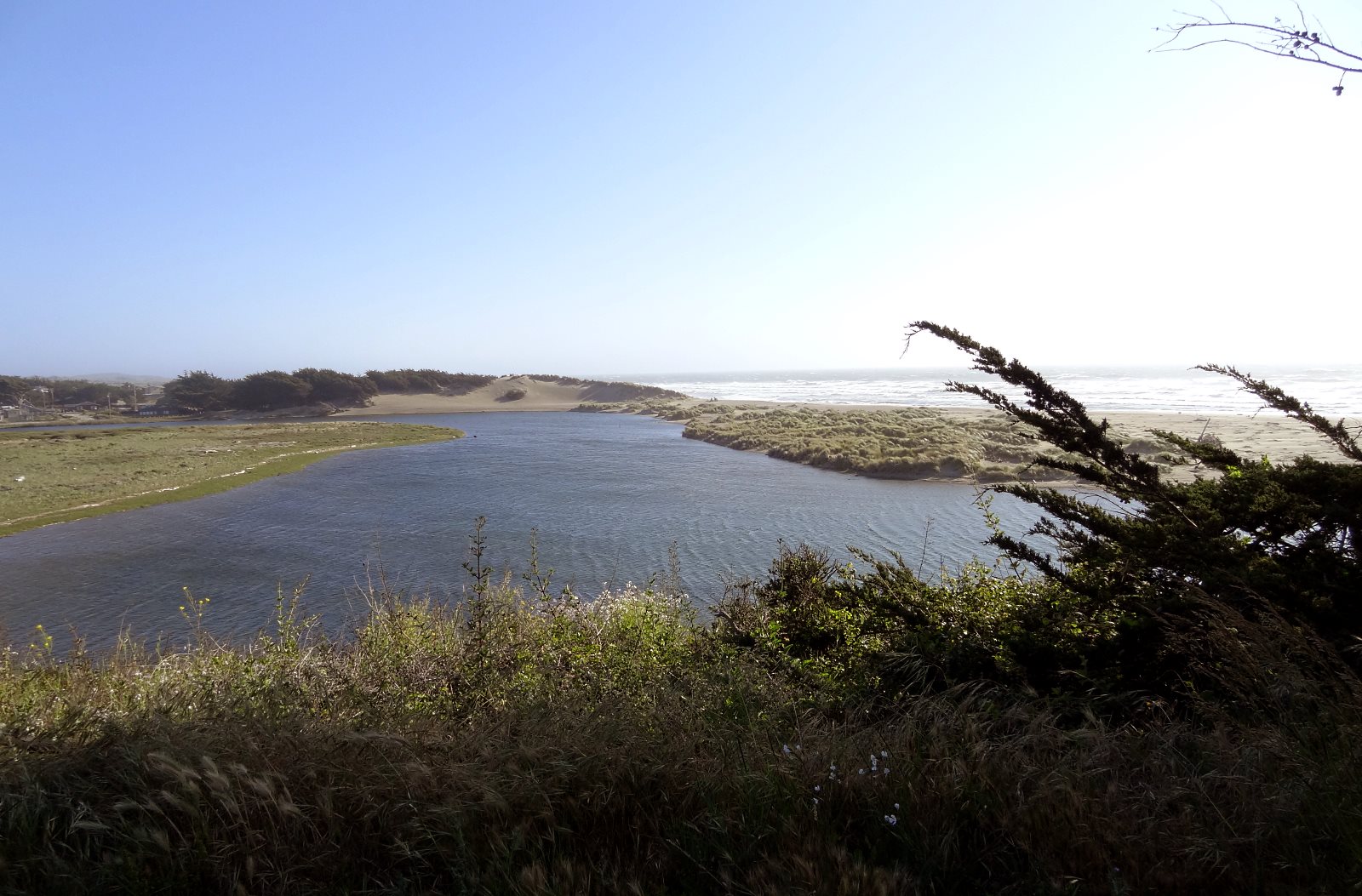 A shore lagoon offers refuge to birds of all kinds and calm brackish water for many other species.
