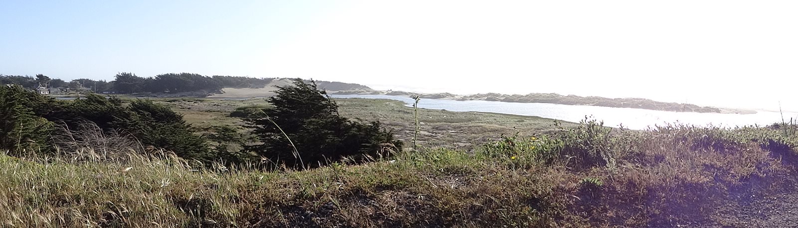 The Coastal Dunes are their own world with their own unique life and their own beauty. Many times I have wandered them where few others go.