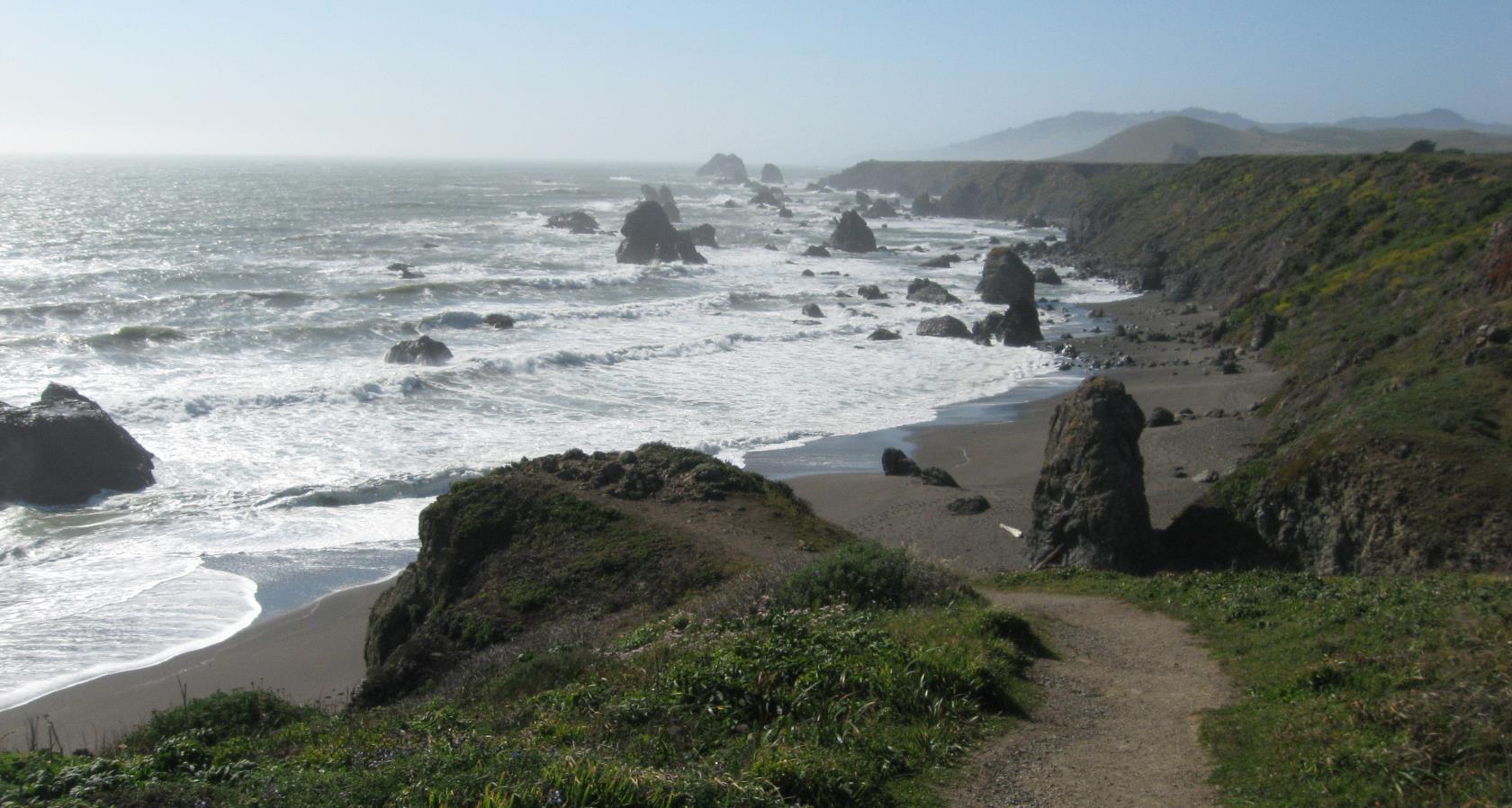 The Sonoma Shore is not a place friendly to mariners, but on a calm day, it can offer lush, beautiful diving. There is much adventure to be found.
