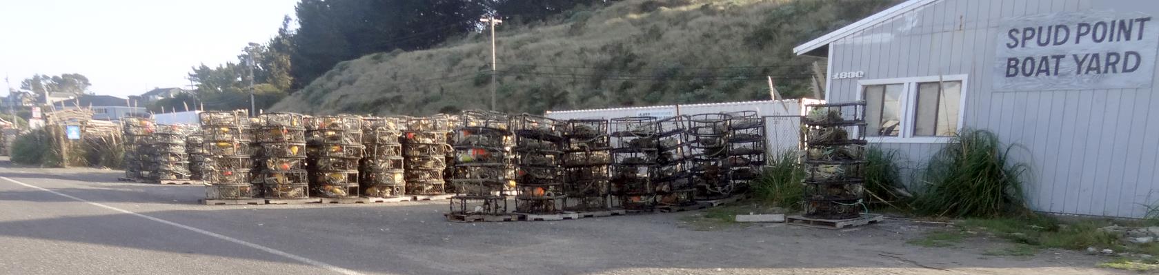 One of the remaining fisheries is for the local dungeness crabs. You can get them as well as other local fresh seafood across the bay at the Tides fish store and restaurant as well as many other good eateries.