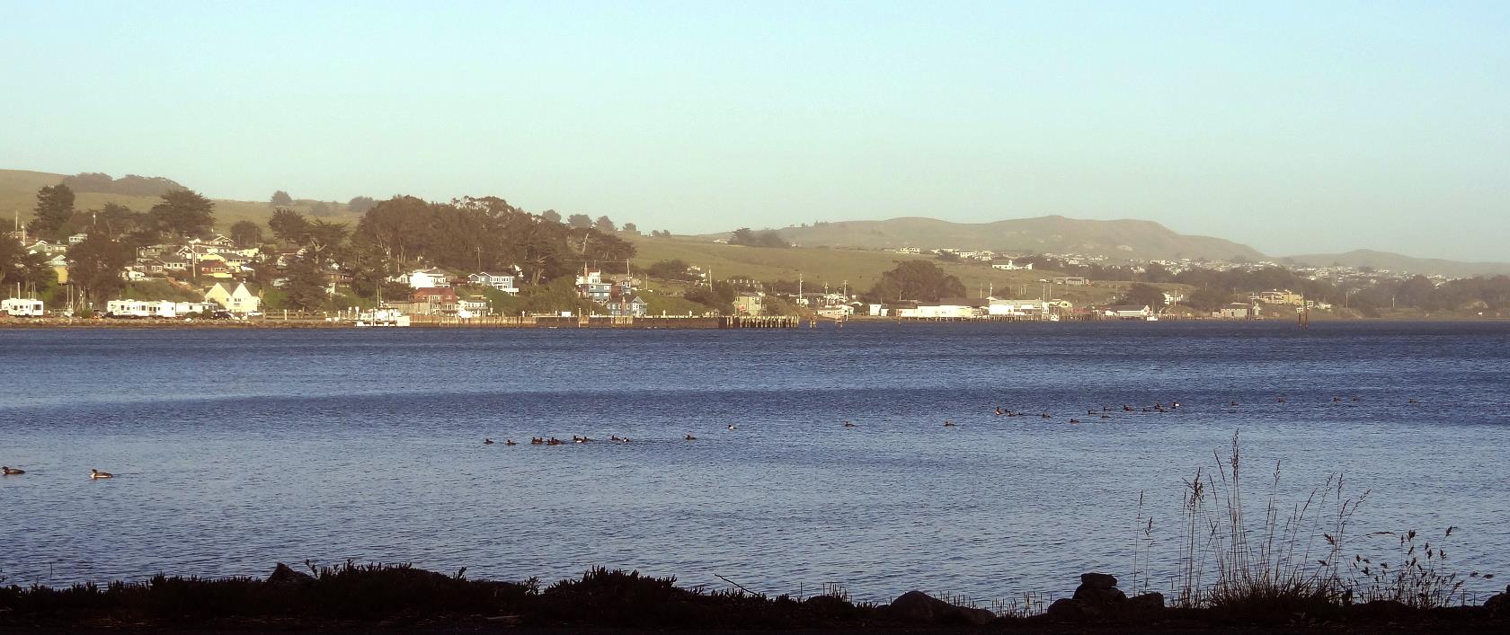 Looking across the bay towards the docks and the Tides Restaurant.