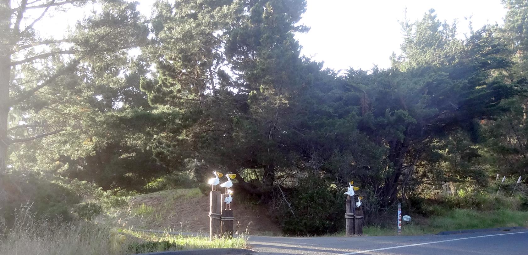 Frankly, this is a boring town. What that means is that you will see a lot of personal art and craft decoration adorning people's homes. Most homes have their names on their mailbox post. The people I met, were really nice.