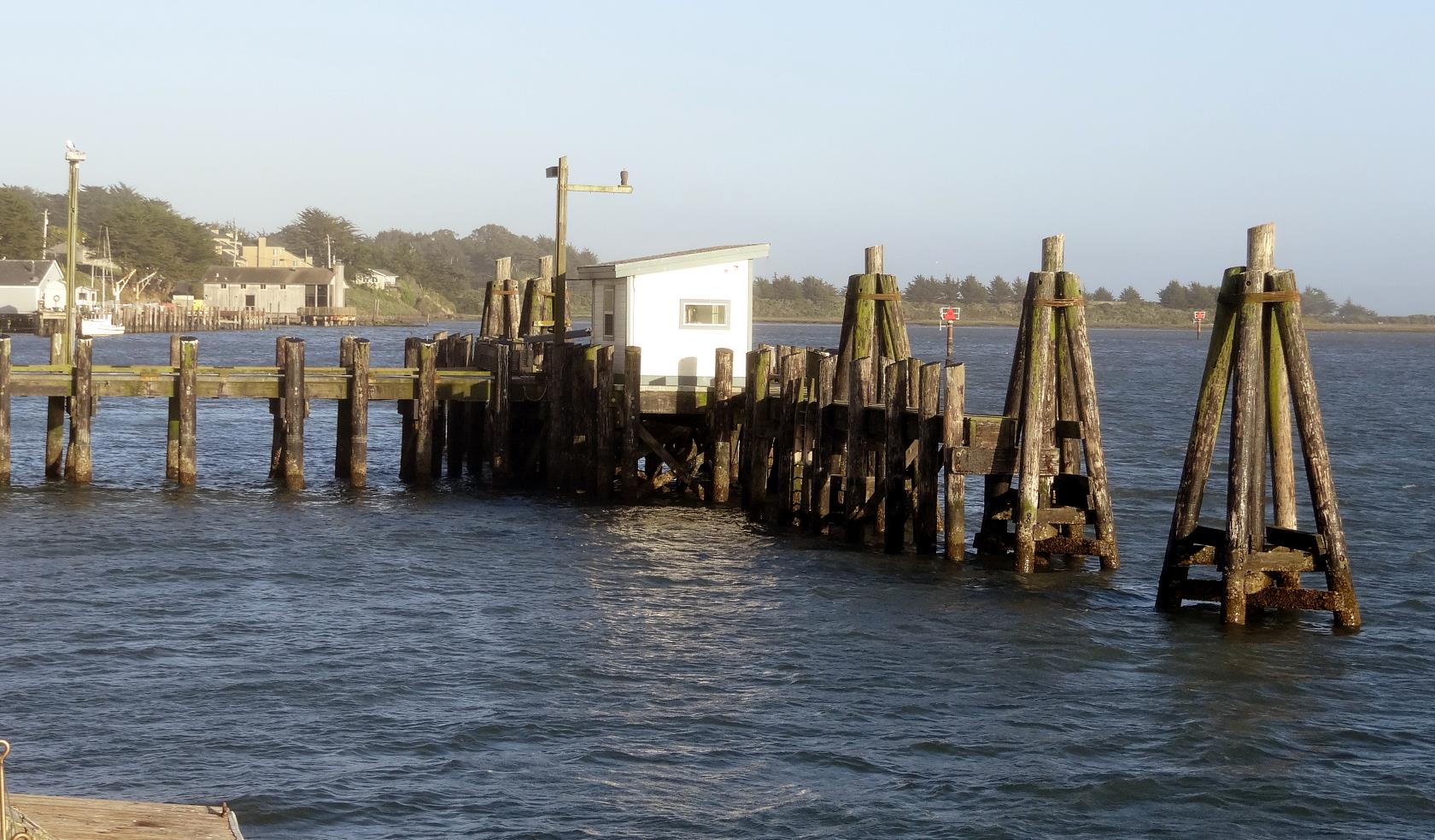 This is a working harbor in a harsh place. Even the Sea Gulls are unusually large.