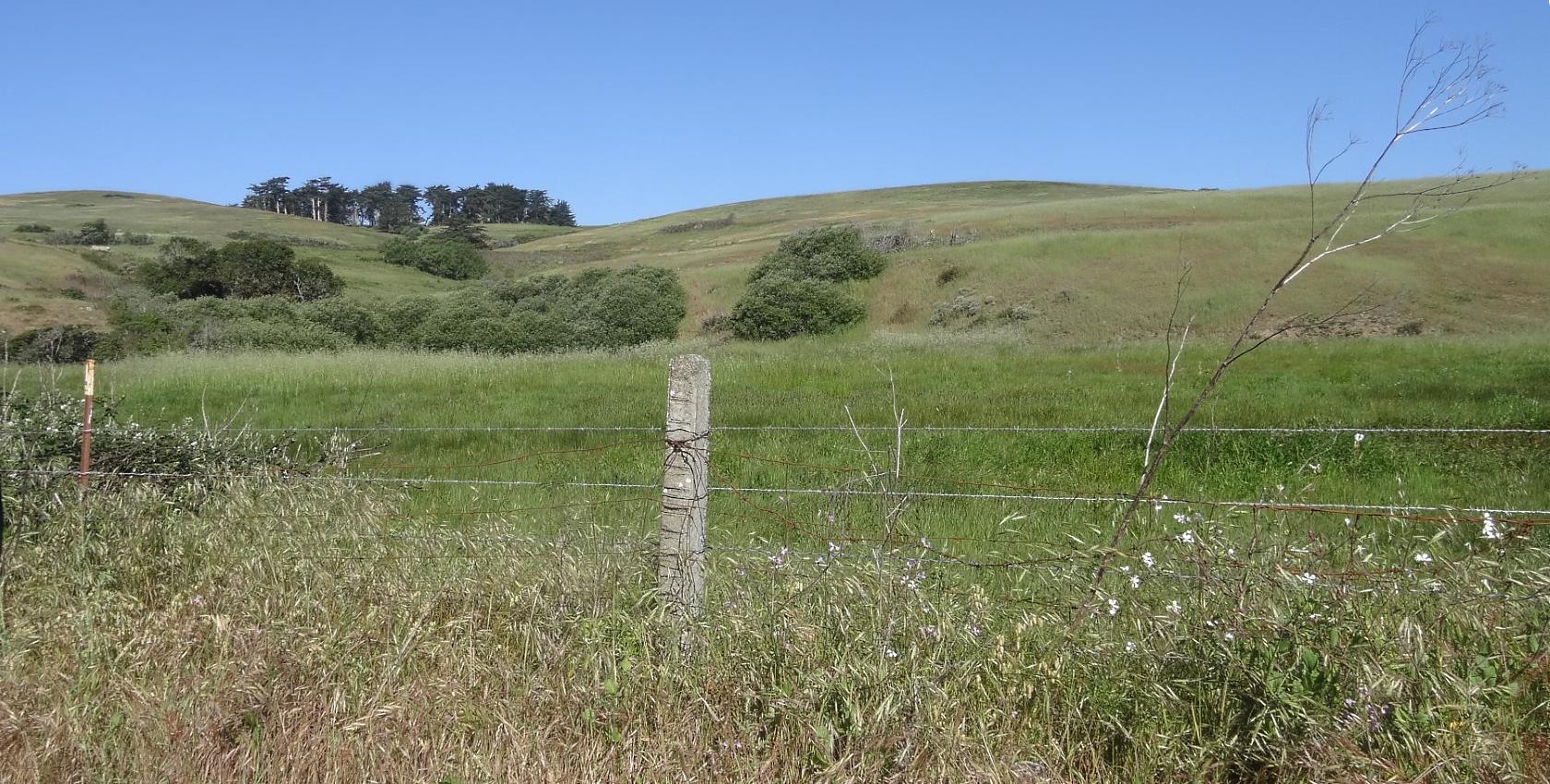 After a ways, I came to Keyes Creek, so I knew I was approaching Tomales Bay.