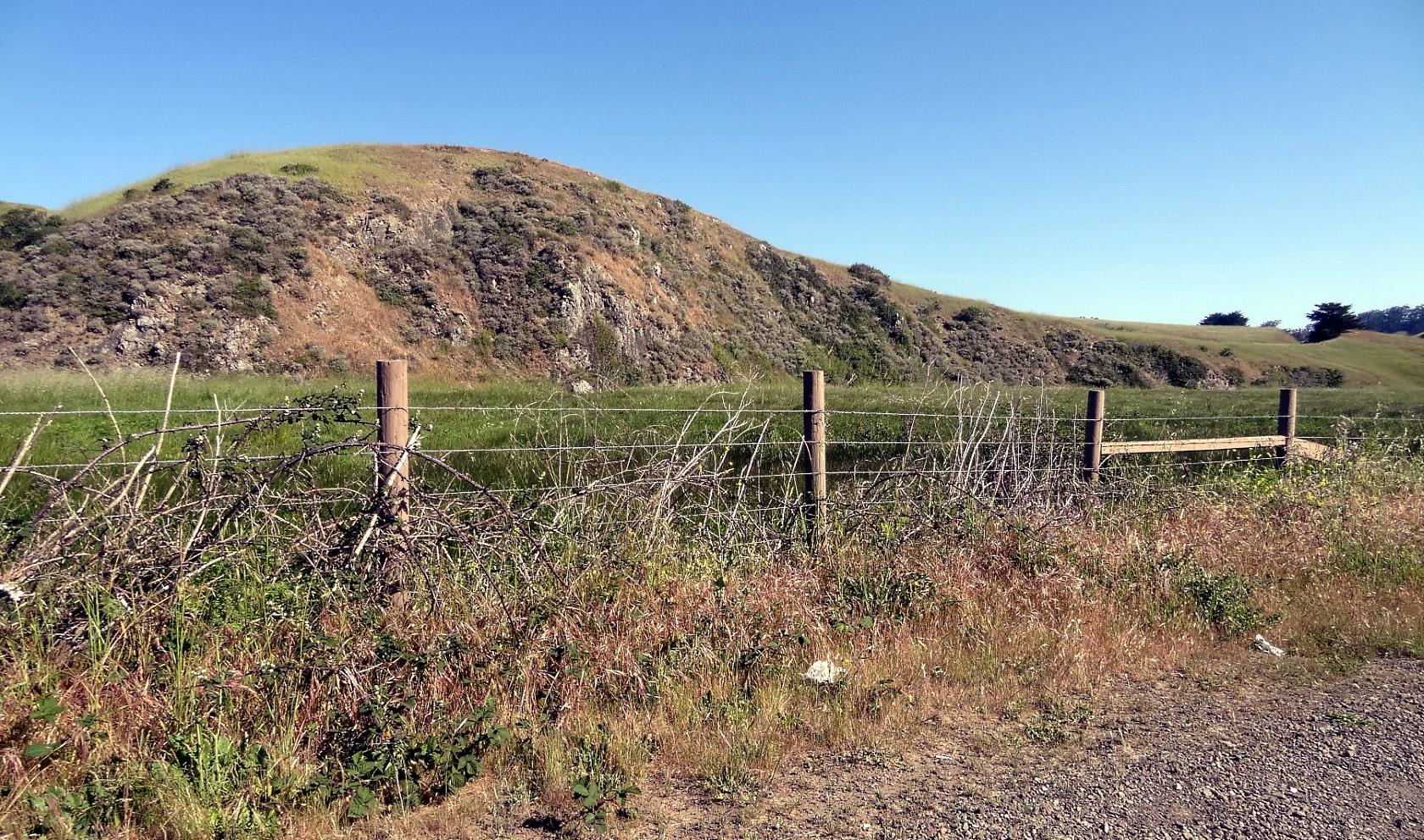 This is a harsh place of rock, grasses and coastal shrubs. 
