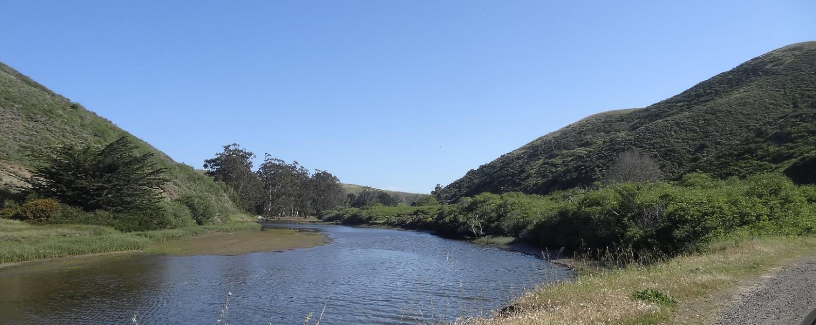 Anywhere that there is water will be a concentration of life including copses of fir and eucalyptus trees. Any creek will support a vital concentration of plants, insects and birds.