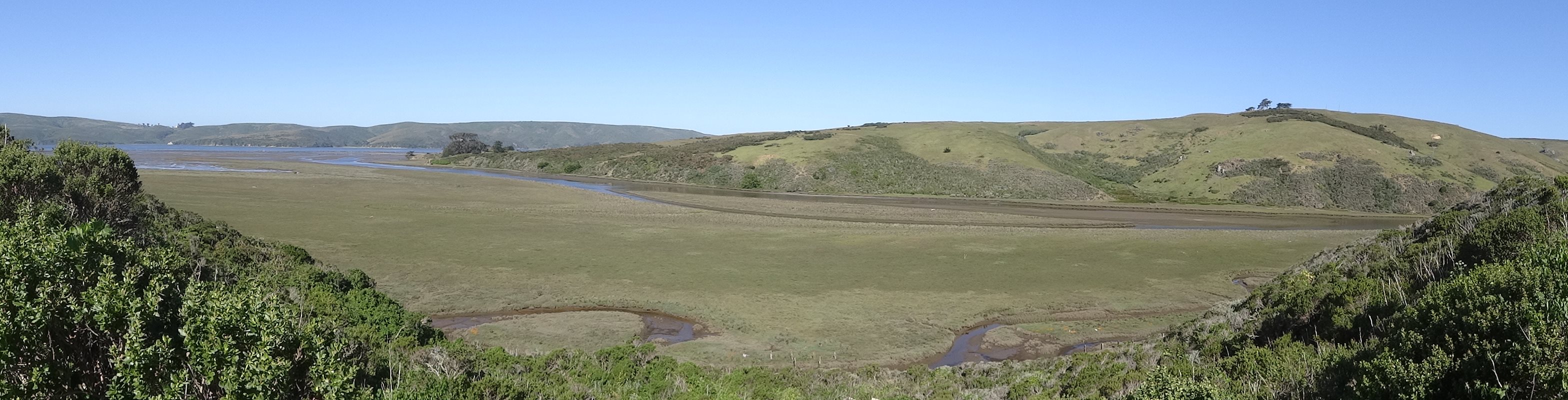 (Wide) Over a hill is Tomalas Bay. It is about 15 miles long and at most a mile wide, separating Point Reyes from Marin. It has a choke point at the entrance there where it narrows, that makes for wicked currents. Of course there some hearty souls that ignore the currents and sharks to dive for halibut when the tide changes.
