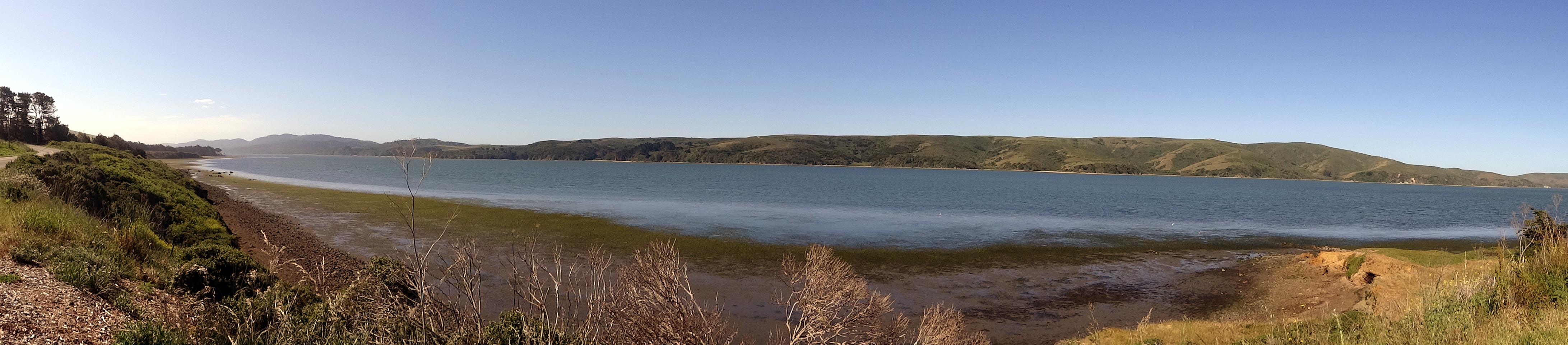 (Wide) The bay is shallow with strong tides. It gives meaning to the term Mud Flats, but it is a place of thick life in that thick mud. 