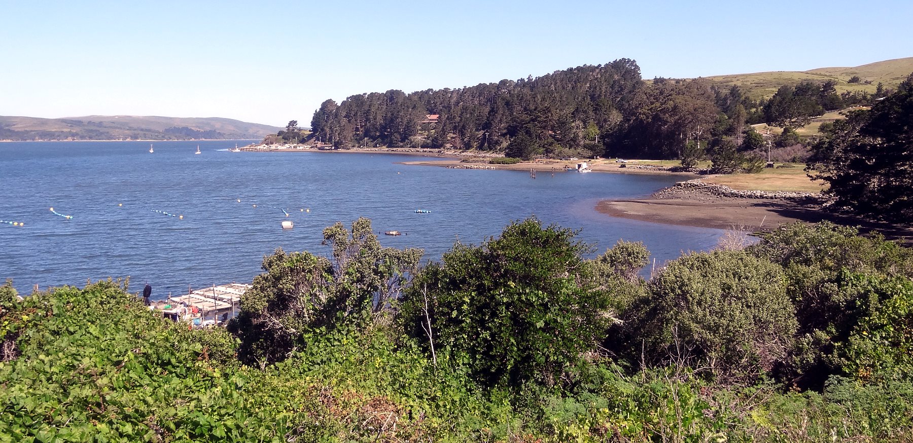 It is a big place with many inlets, some of which have oyster farms. 