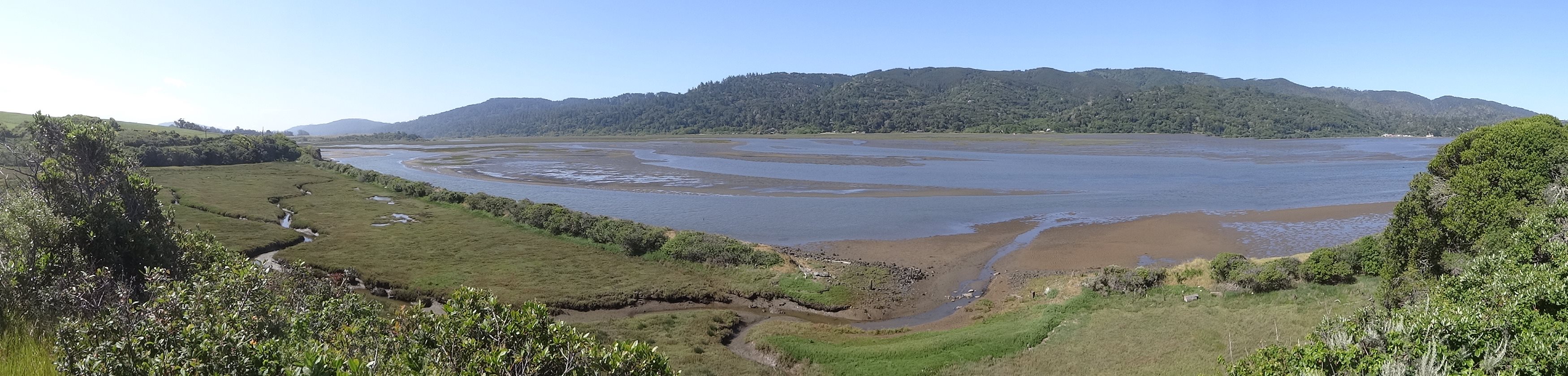 (Wide) It's mud, mud, mud, deep mud as far as the eye can see. It's full of life. The birds love it...