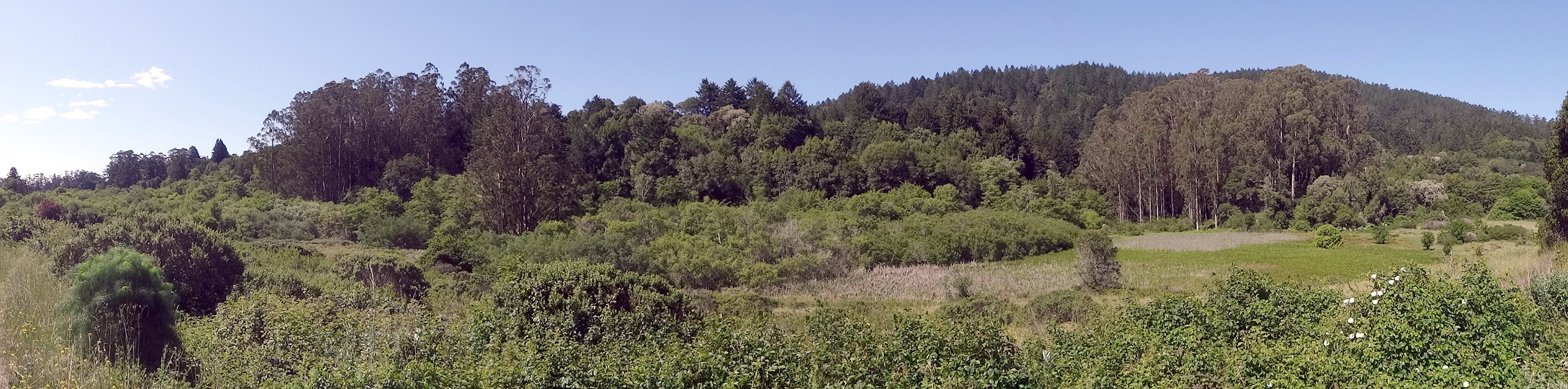 (Wide) It is lush and diverse. There are B&Bs, hiking trails, camp grounds, horse rentals, pretty much everything you can do in a beautifully forested area.